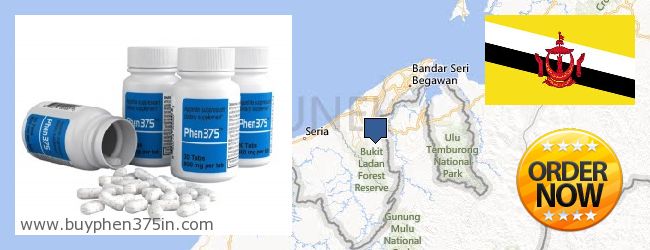 Dove acquistare Phen375 in linea Brunei